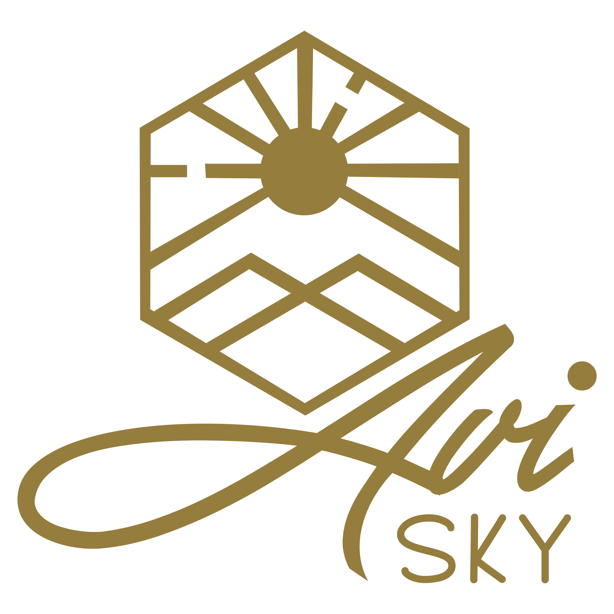 Avi Sky 